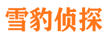 温县市婚姻出轨调查